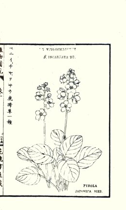 photo24.jpg