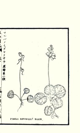 photo25.jpg