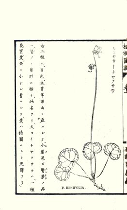 photo27.jpg