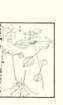 photo44_small.jpg