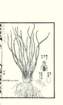 photo45_small.jpg