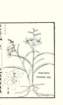 photo7_small.jpg