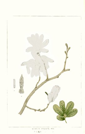 photo11.jpg