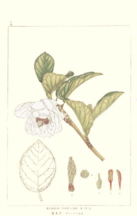 photo13.jpg