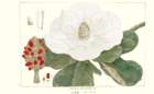 photo16_small.jpg