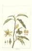 photo17_small.jpg