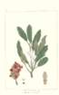 photo18_small.jpg