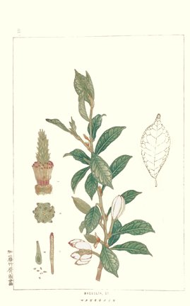 photo19.jpg