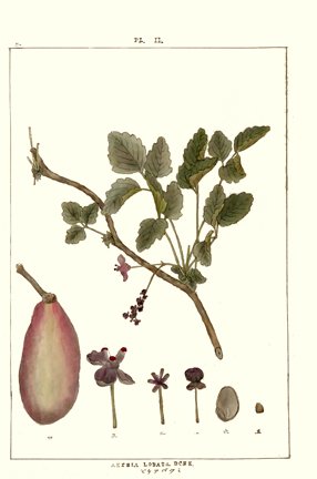 photo21.jpg
