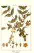 photo25_small.jpg