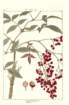photo28_small.jpg