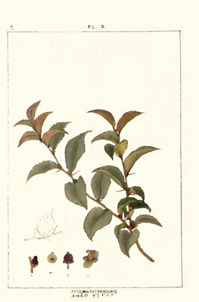 photo30.jpg