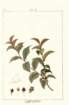 photo30_small.jpg