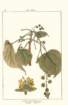 photo31_small.jpg