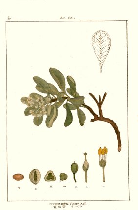photo33.jpg