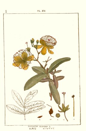 photo36.jpg