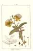 photo36_small.jpg