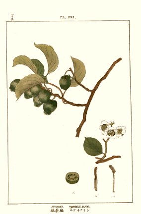 photo42.jpg