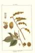 photo43_small.jpg