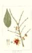 photo5_small.jpg