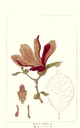 photo8.jpg
