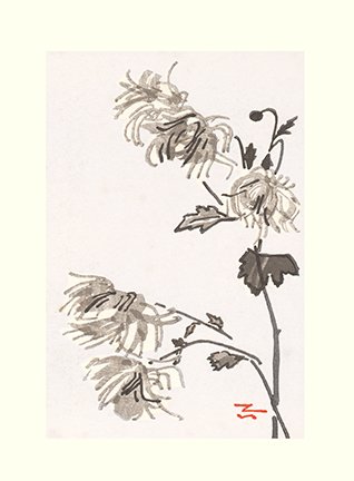photo53.jpg