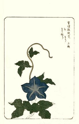 photo14.jpg