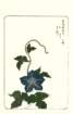 photo14_small.jpg