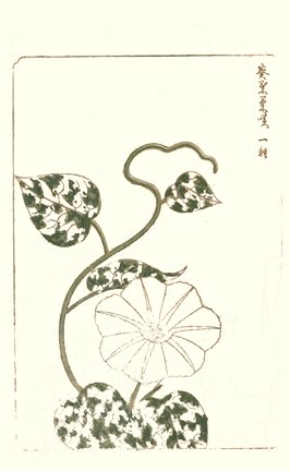 photo21.jpg