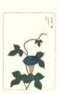 photo24_small.jpg