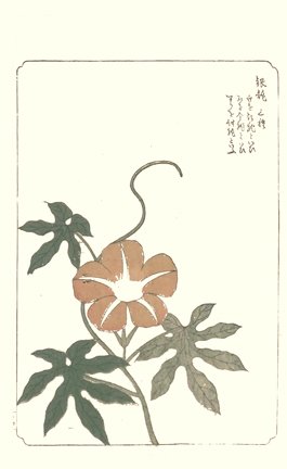 photo28.jpg
