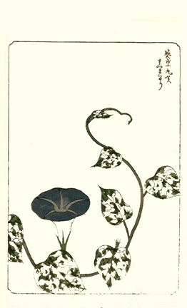 photo30.jpg