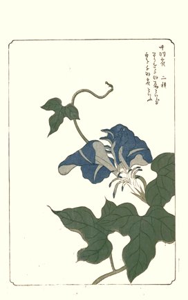 photo31.jpg