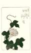 photo33_small.jpg