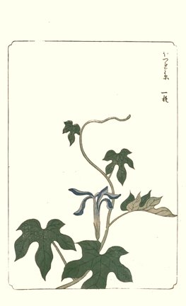 photo34.jpg
