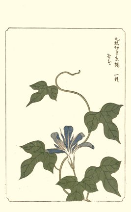 photo42.jpg