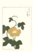 photo48_small.jpg