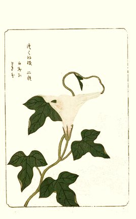 photo49.jpg