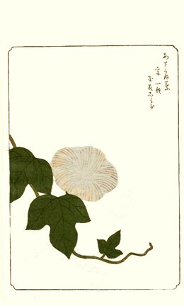 photo57.jpg