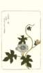photo64_small.jpg