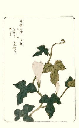 photo7.jpg