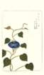 photo76_small.jpg
