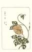 photo79_small.jpg