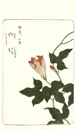photo82.jpg