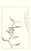 photo90_small.jpg