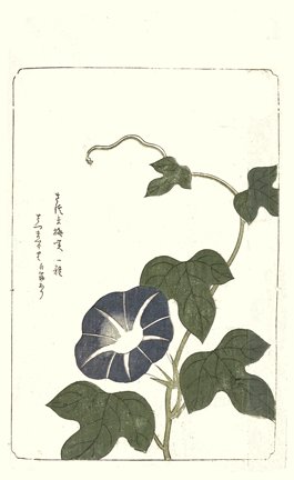 photo92.jpg