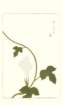 photo93_small.jpg