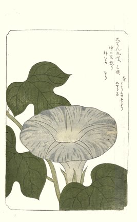 photo96.jpg
