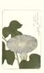 photo96_small.jpg
