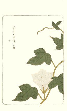 photo97.jpg